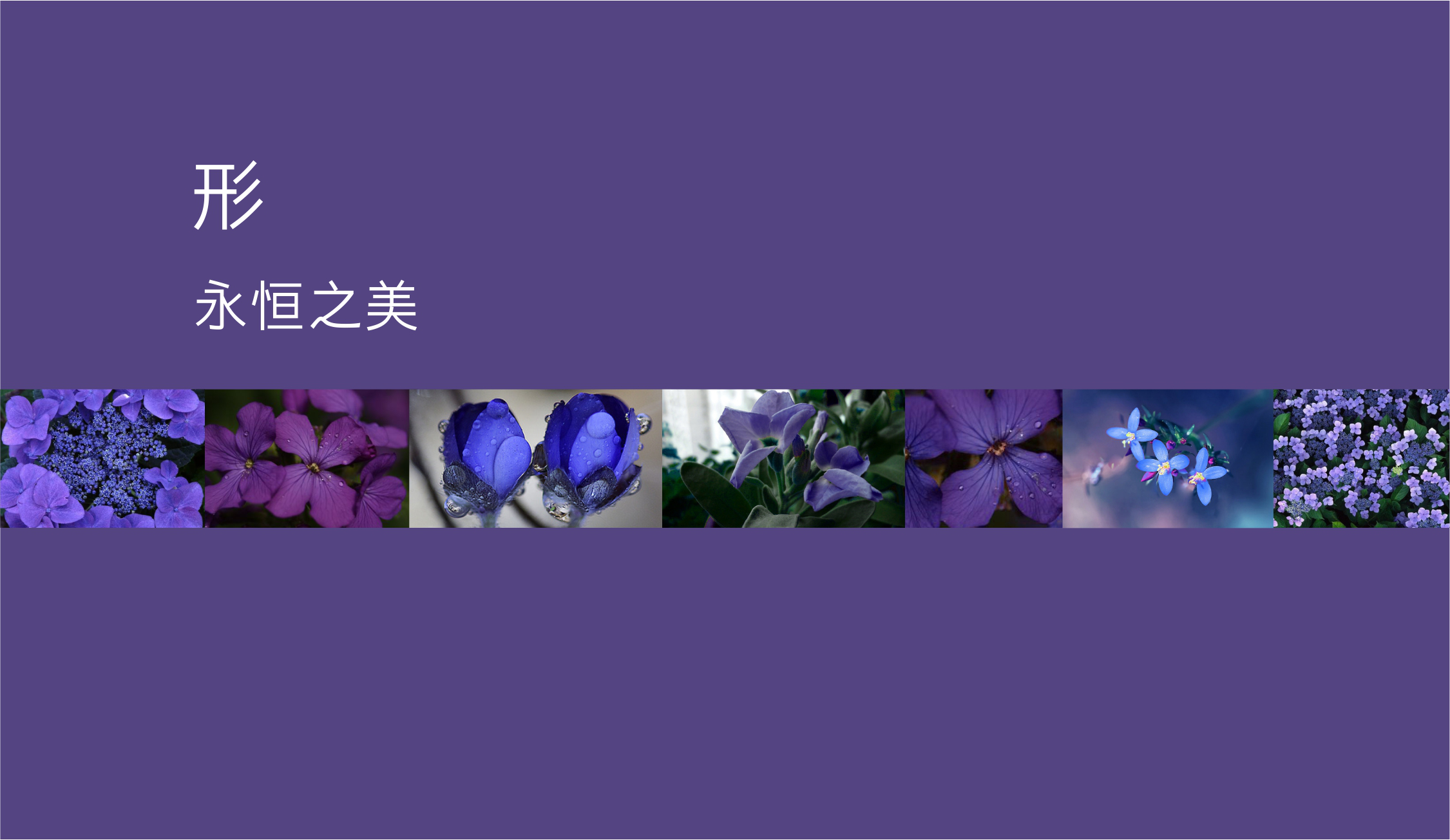 校园推广,校园营销,高校推广,校园推广公司,校园活动,校园推广活动,校园营销活动,成都高效传媒