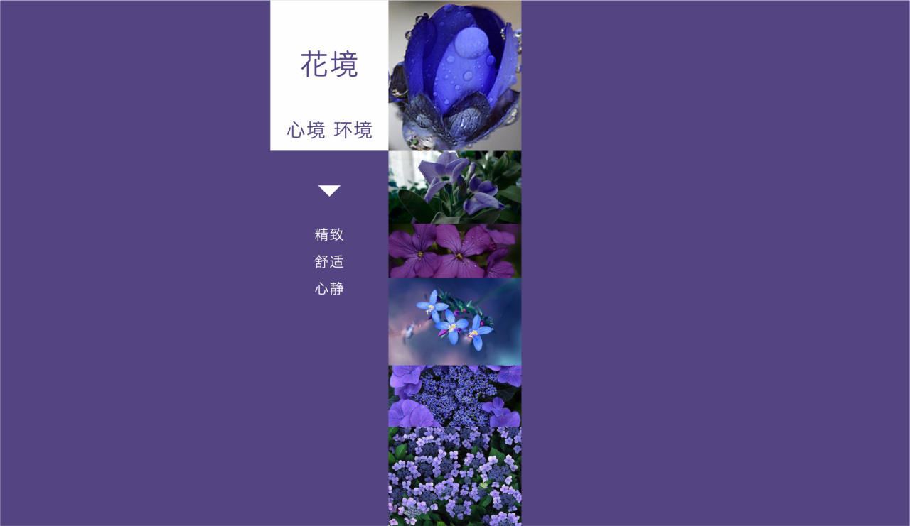 校园推广,校园营销,高校推广,校园推广公司,校园活动,校园推广活动,校园营销活动,成都高效传媒